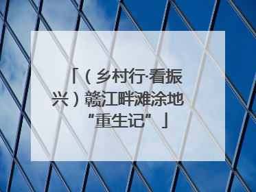 （乡村行·看振兴）赣江畔滩涂地“重生记”